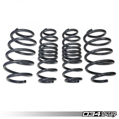 034 Motorsport Dynamic+ Lowering Springs